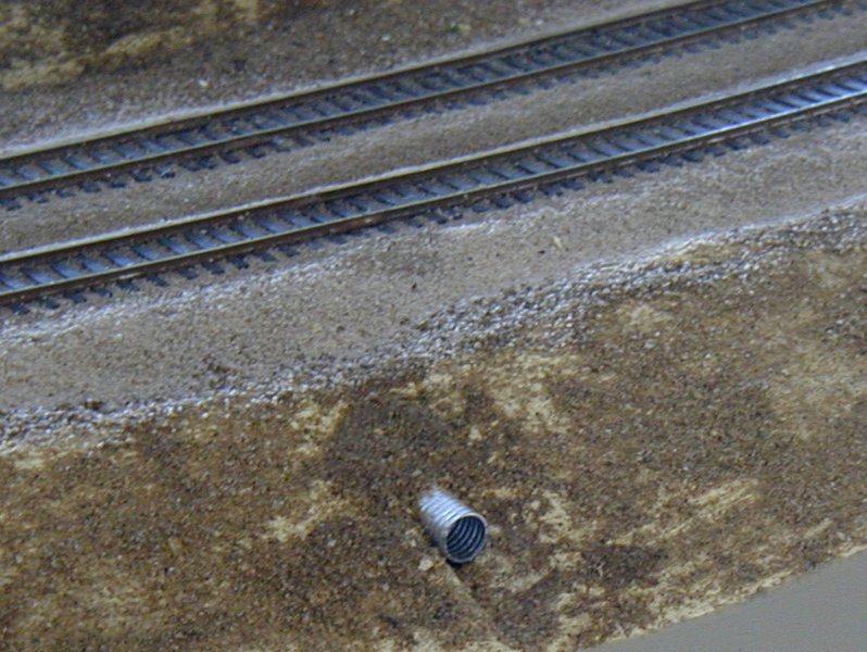 P5011401.JPG