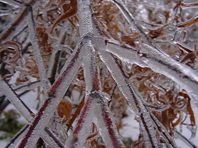 winter...