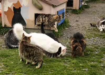 group_1245_edit.jpg