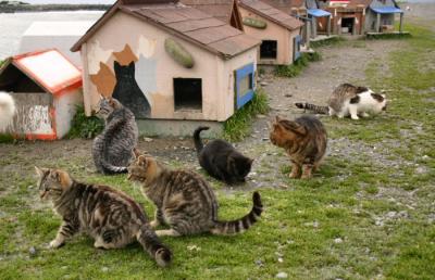 group_1246_edit.jpg