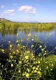 Lake Hodges