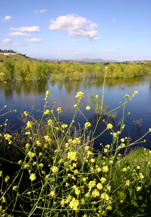 Lake Hodges