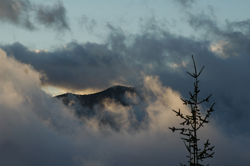 Hurricane Ridge 3