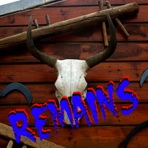 Assignment: Remains
