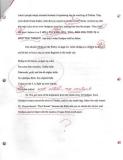 page5_www.albinoblacksheep.com.jpg