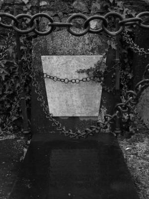 Vampire Grave by Stephen