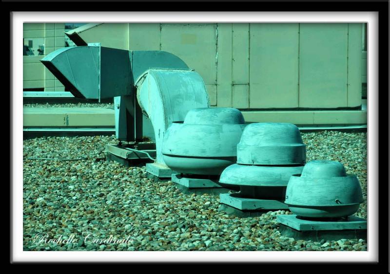Abstract Forms