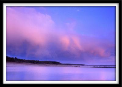 Pink Storm
