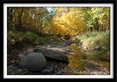 Gold Stream