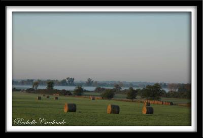 Hay Bales