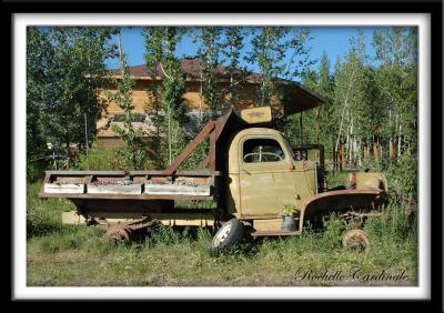 Lawn Decor
