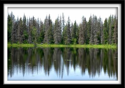 Reflections on Private Lake