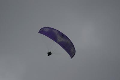IMG_3689.JPG