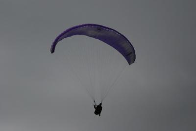 IMG_3692.JPG