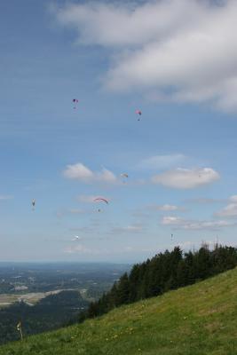 IMG_3724.JPG