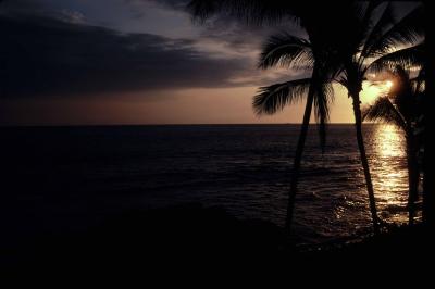 Aloha Sunset