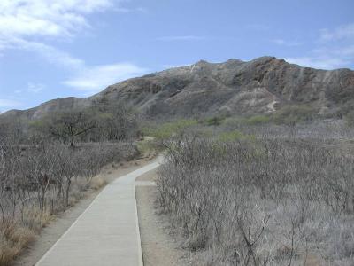 Trail To The Top