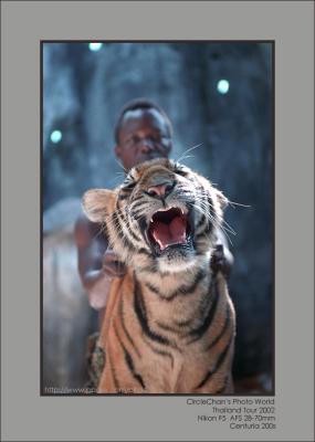 NEW! ~~ It's Thailand (Tour 2002)