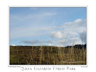 Queen Elizabeth Forest Park