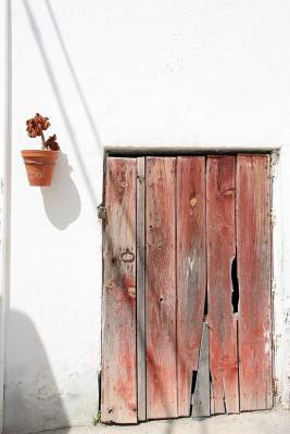 Door and plant