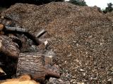 October 1 2003: WoodChip