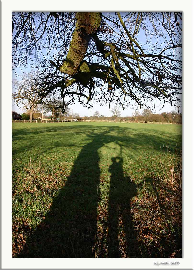 January 13 2005: <br> Glorious