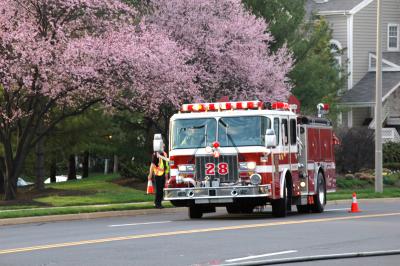 u14/clixpix/medium/41781736.DSC_0483a.jpg