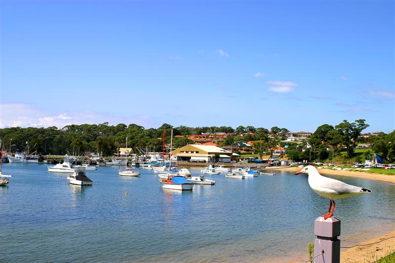 Going Coastal, NSW Australia