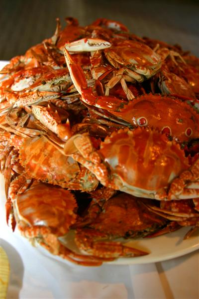 Nearby Roxas city produces some of the worlds best seafood