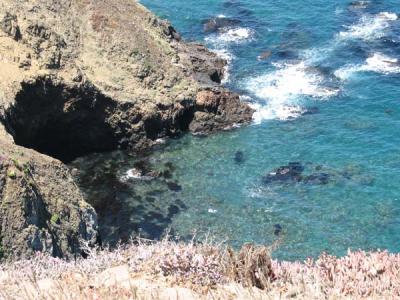 clear water1.jpg