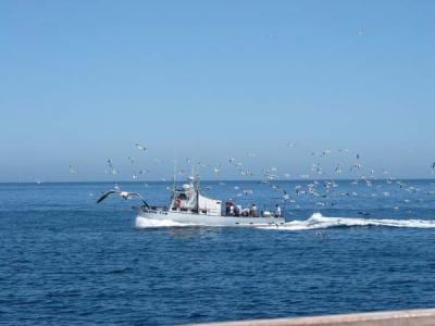 fishboat.jpg