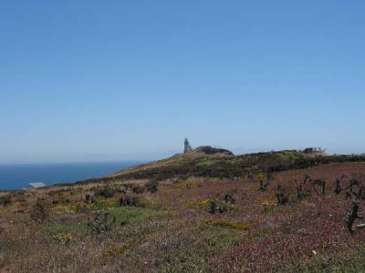 light house-1.jpg
