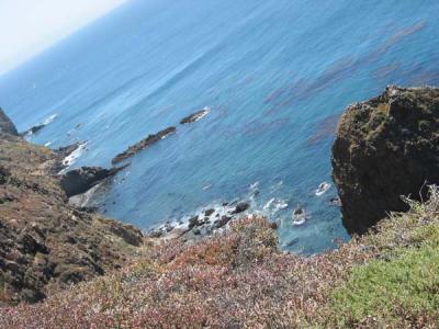 lookdown1.jpg