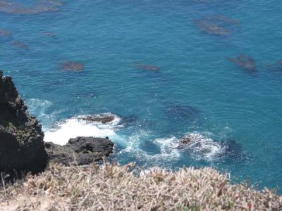 lookdown2.jpg