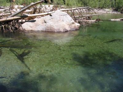 jade water.jpg