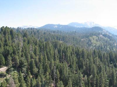 top view 1.jpg
