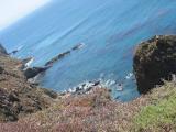 lookdown1.jpg