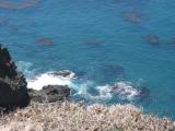 lookdown2.jpg