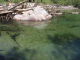 jade water.jpg