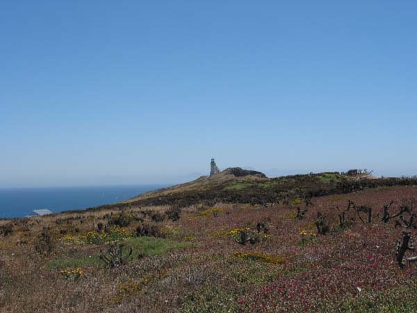 light house-1.jpg