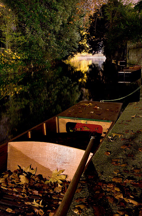 Darwin Punts