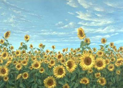  day of the sunflowers