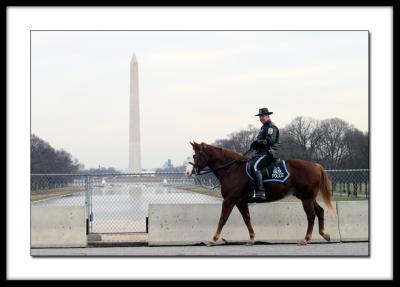 Watchin' the Mall