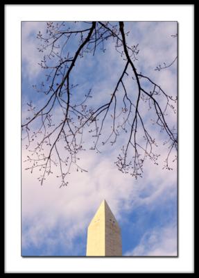 Washington Monument