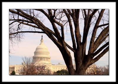 USA Capitol