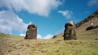 Willie in Easter Island