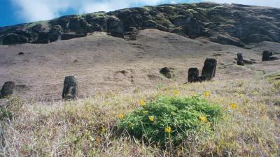 Moai hidden away.jpg