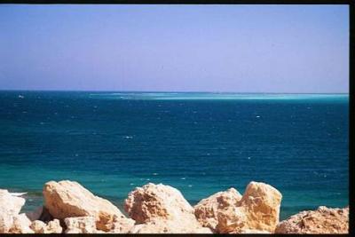 Red Sea Egypt.jpg