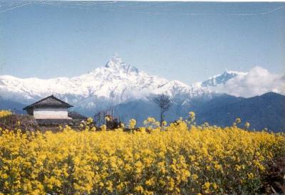 Annapurna Mountains - Nepal.jpg