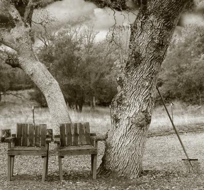 Ranch Chairs new.jpg